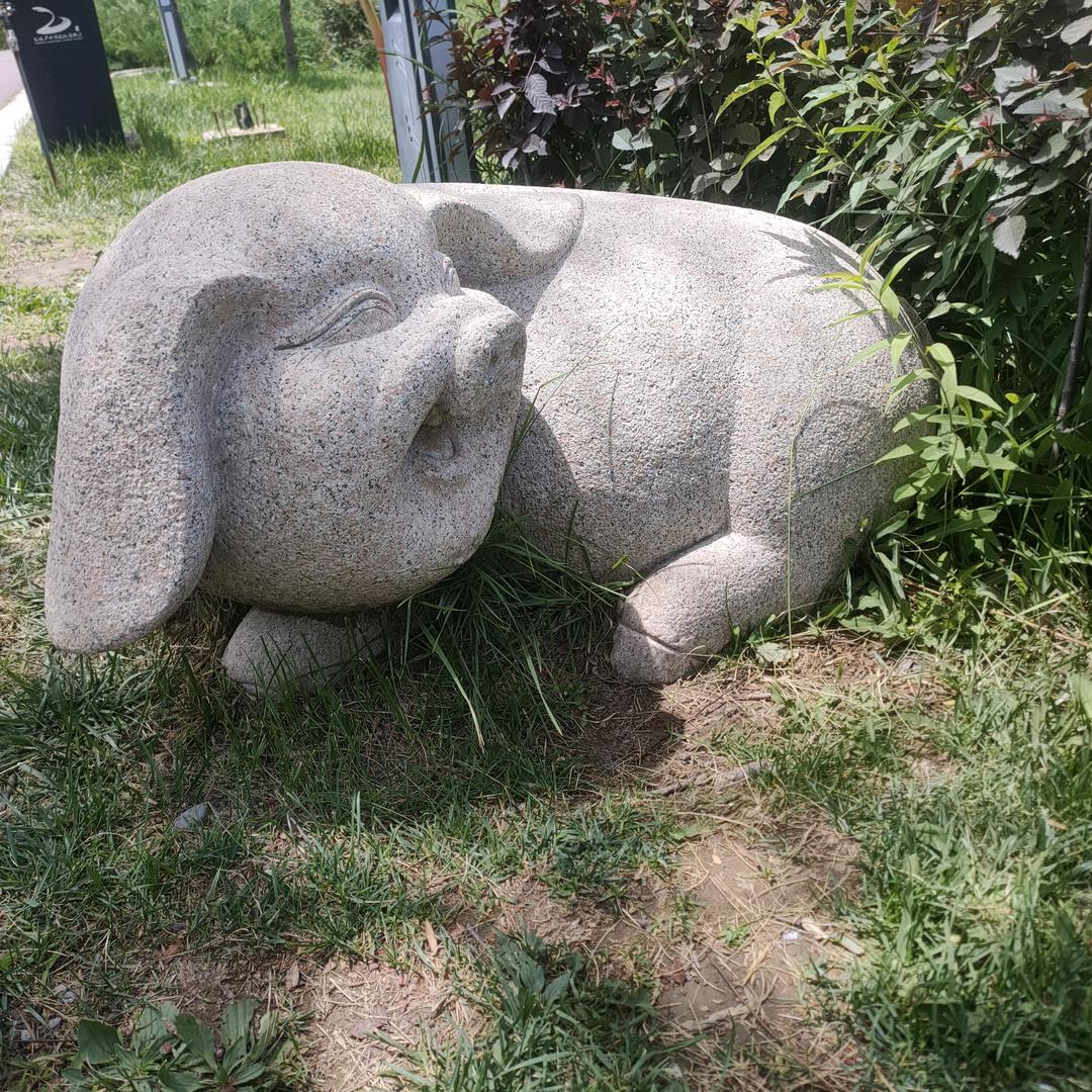 随缘 1234