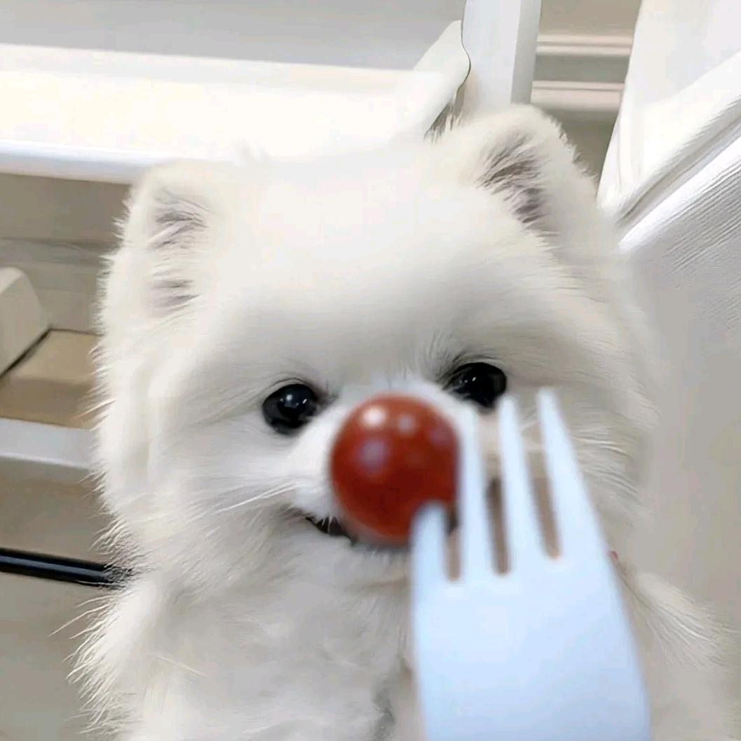 哇哈哈