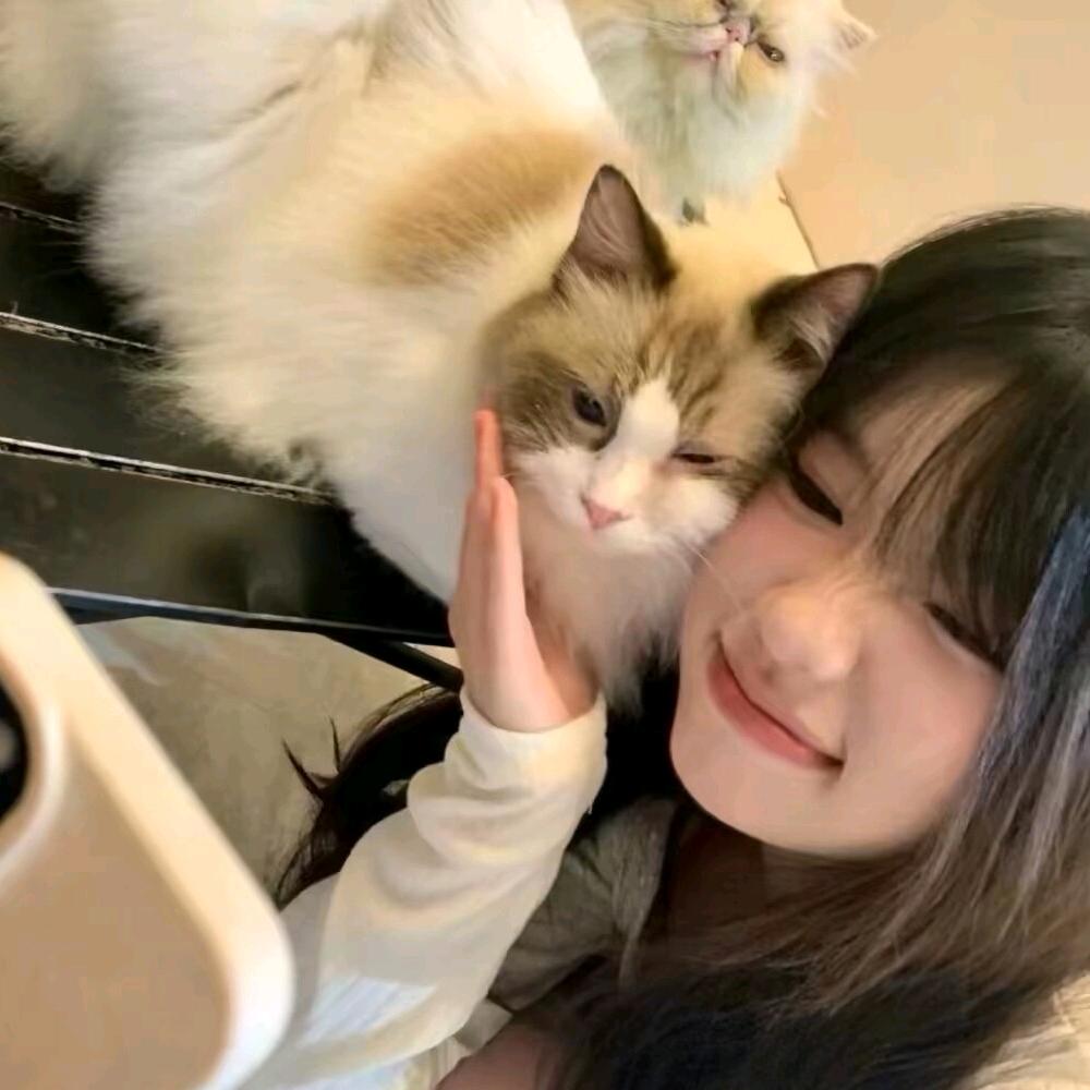 下次吃什么