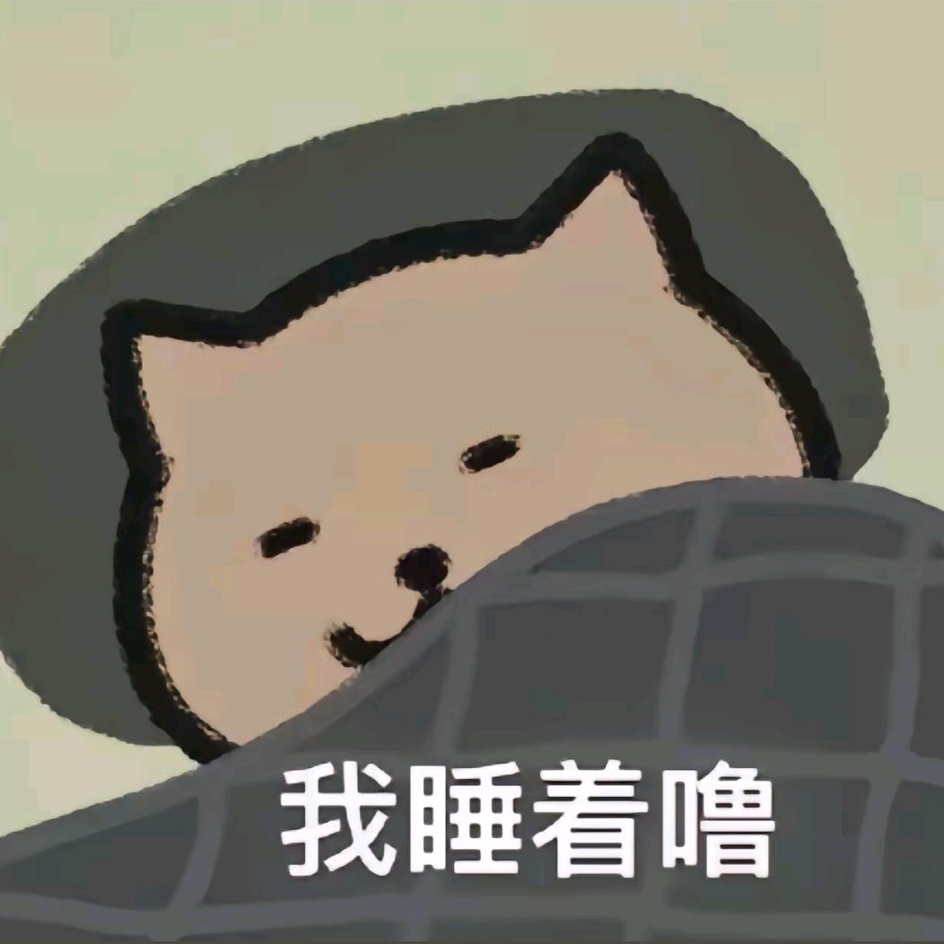 周晨阳的大捷豹