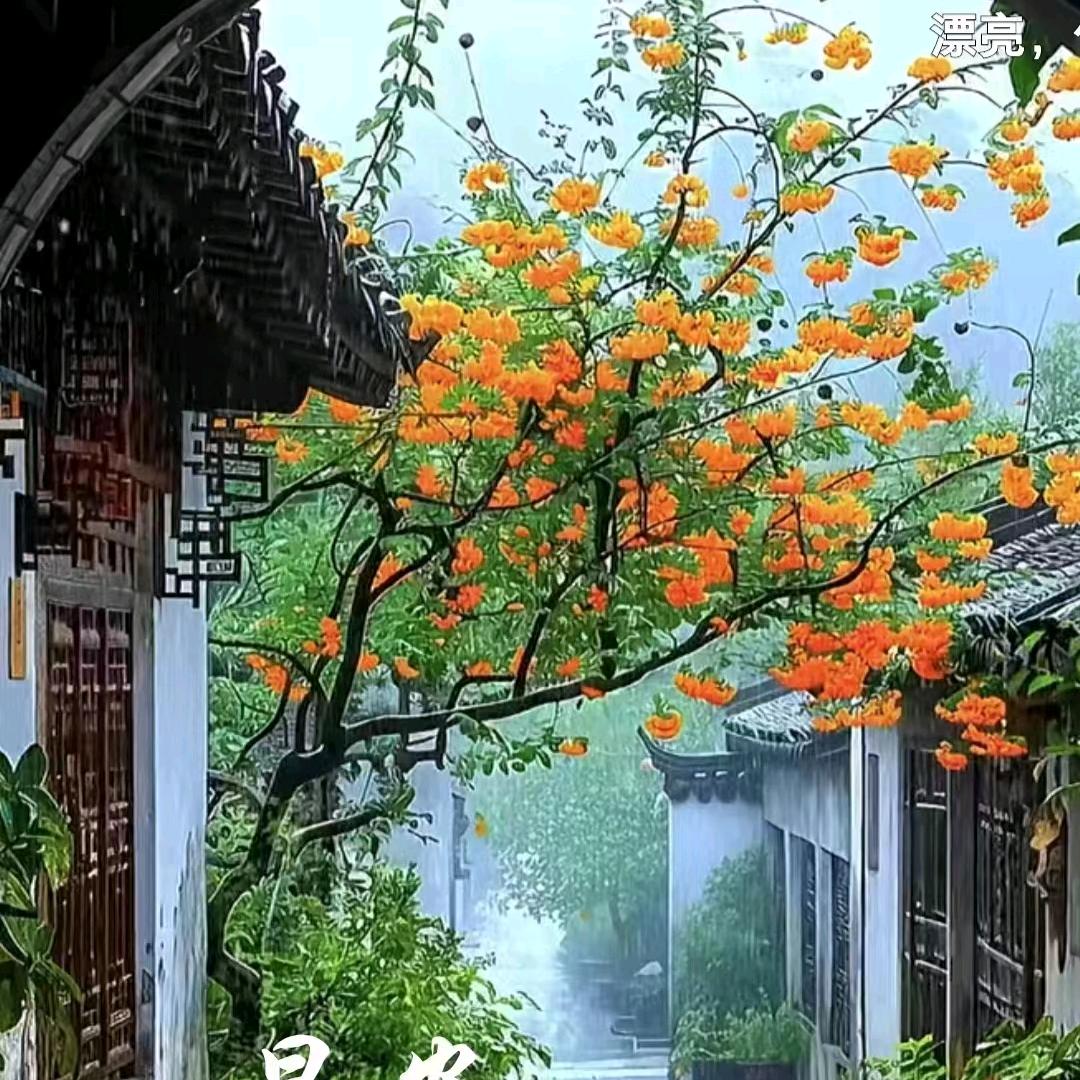 秦渭科技