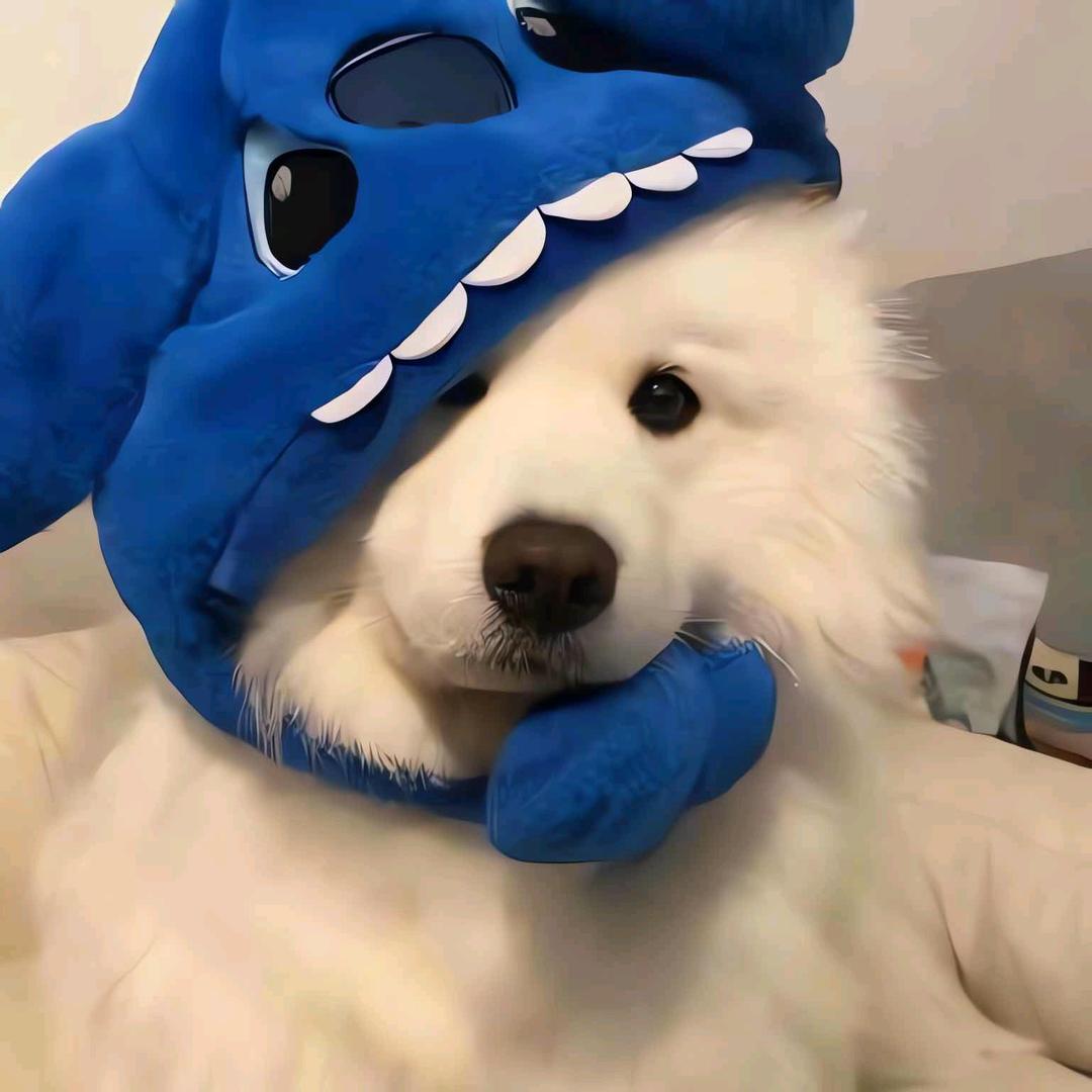 序言