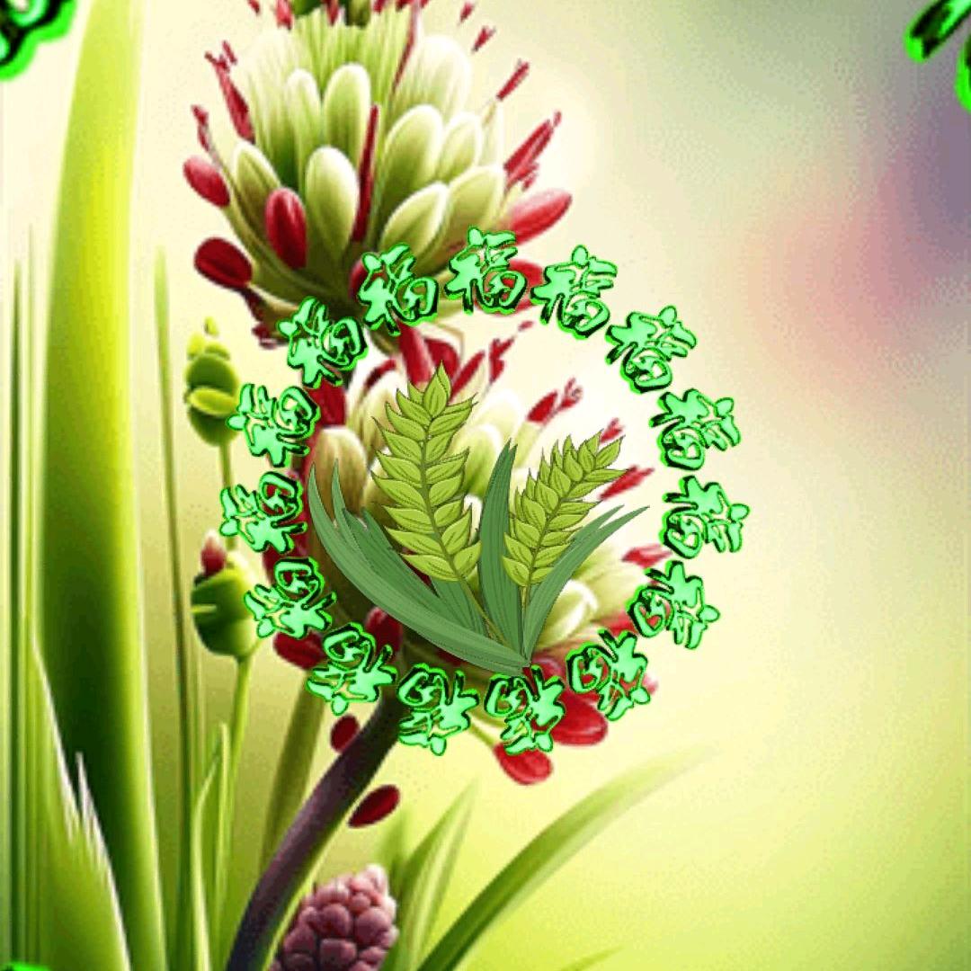 快乐人生是最辛福的