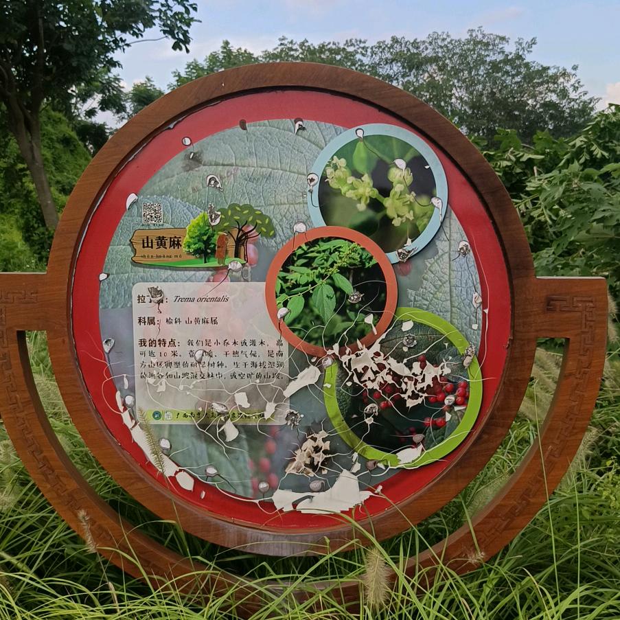 心锁
