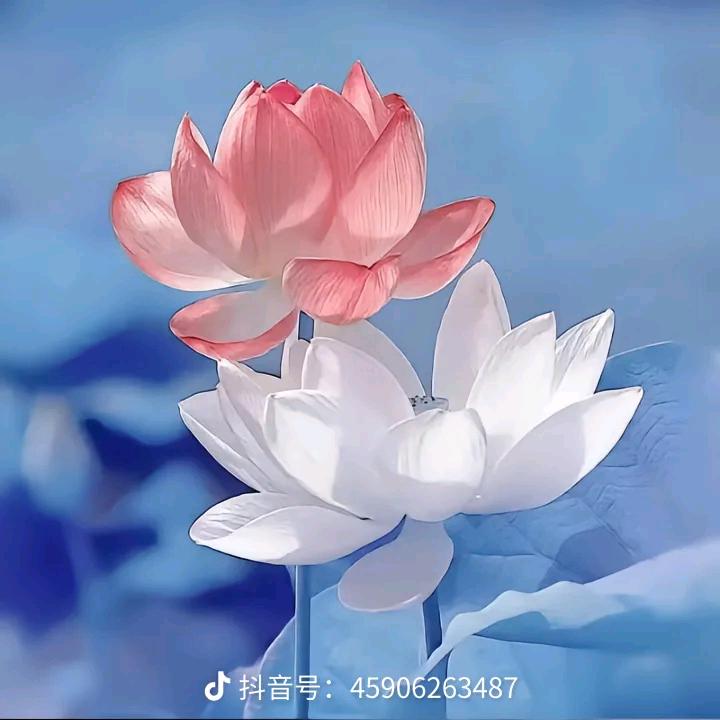 一生快乐