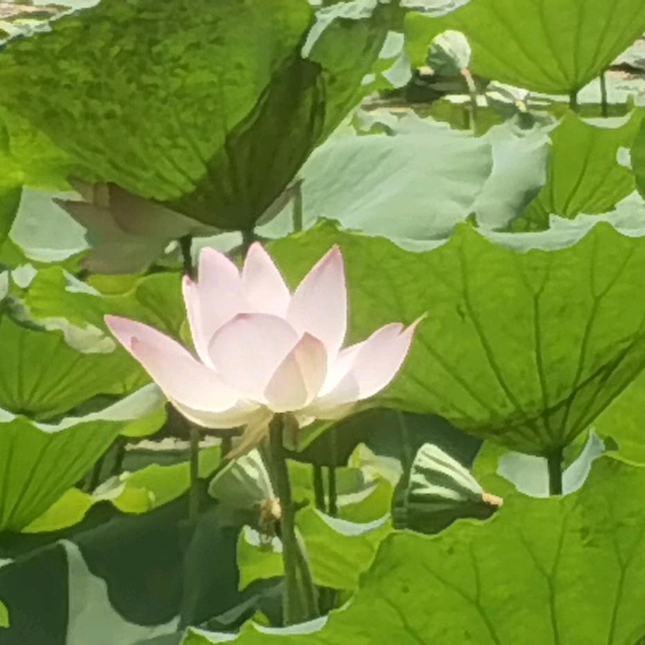 剑龙优客