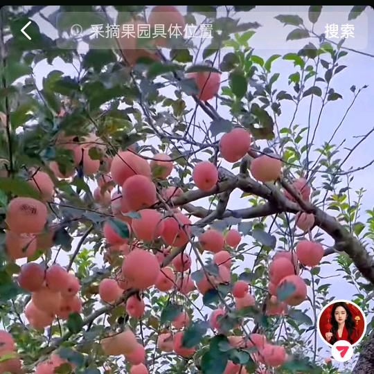 玥宝