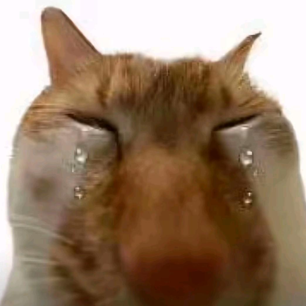水里