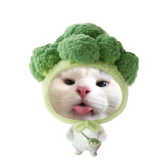 爱吃鸭脚煲的T
