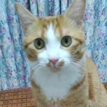 乐钓园钓场，阿伟