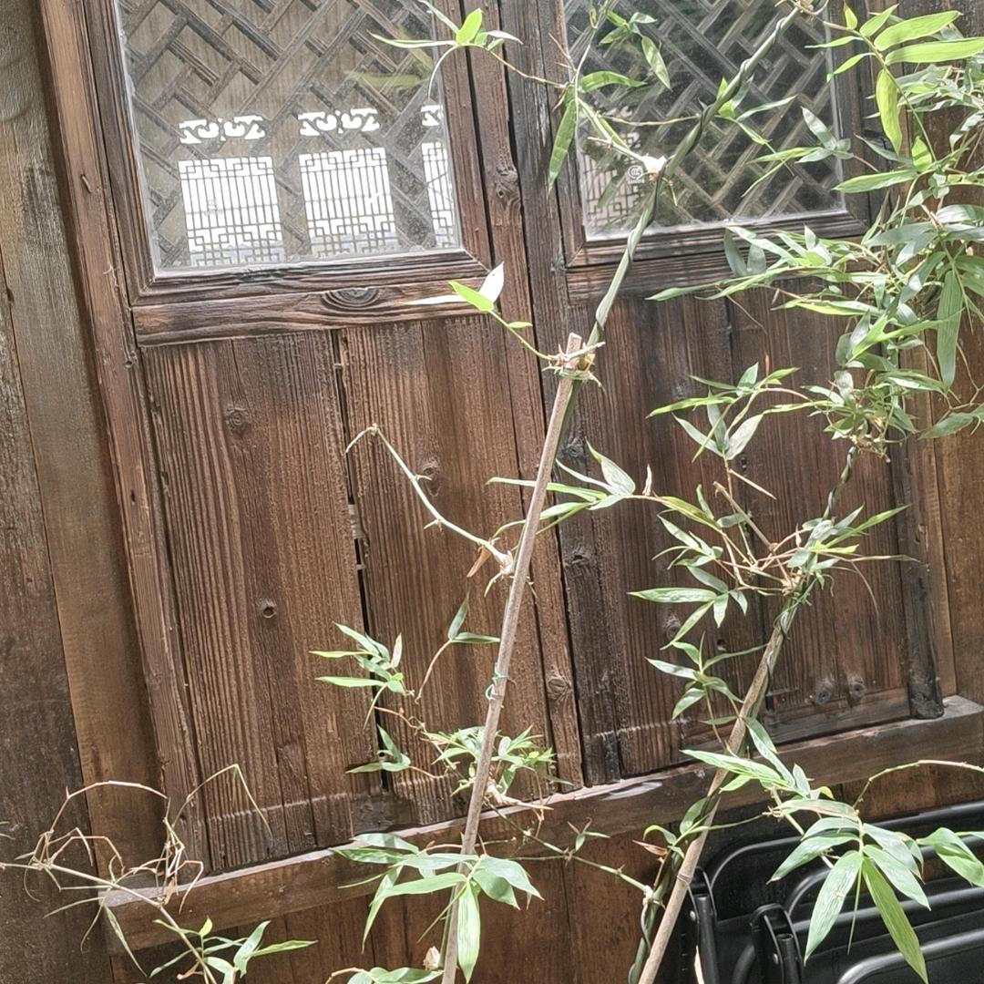 幸福的定义
