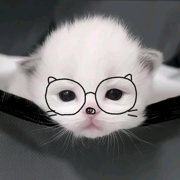 姜姜姜