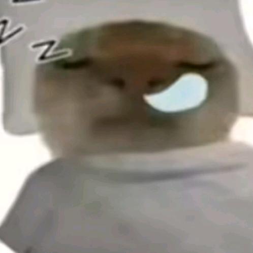 爱玩三角篓子的臭老鼠