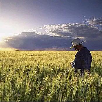 এ᭄辉₅₂₀ོꦿృ༊