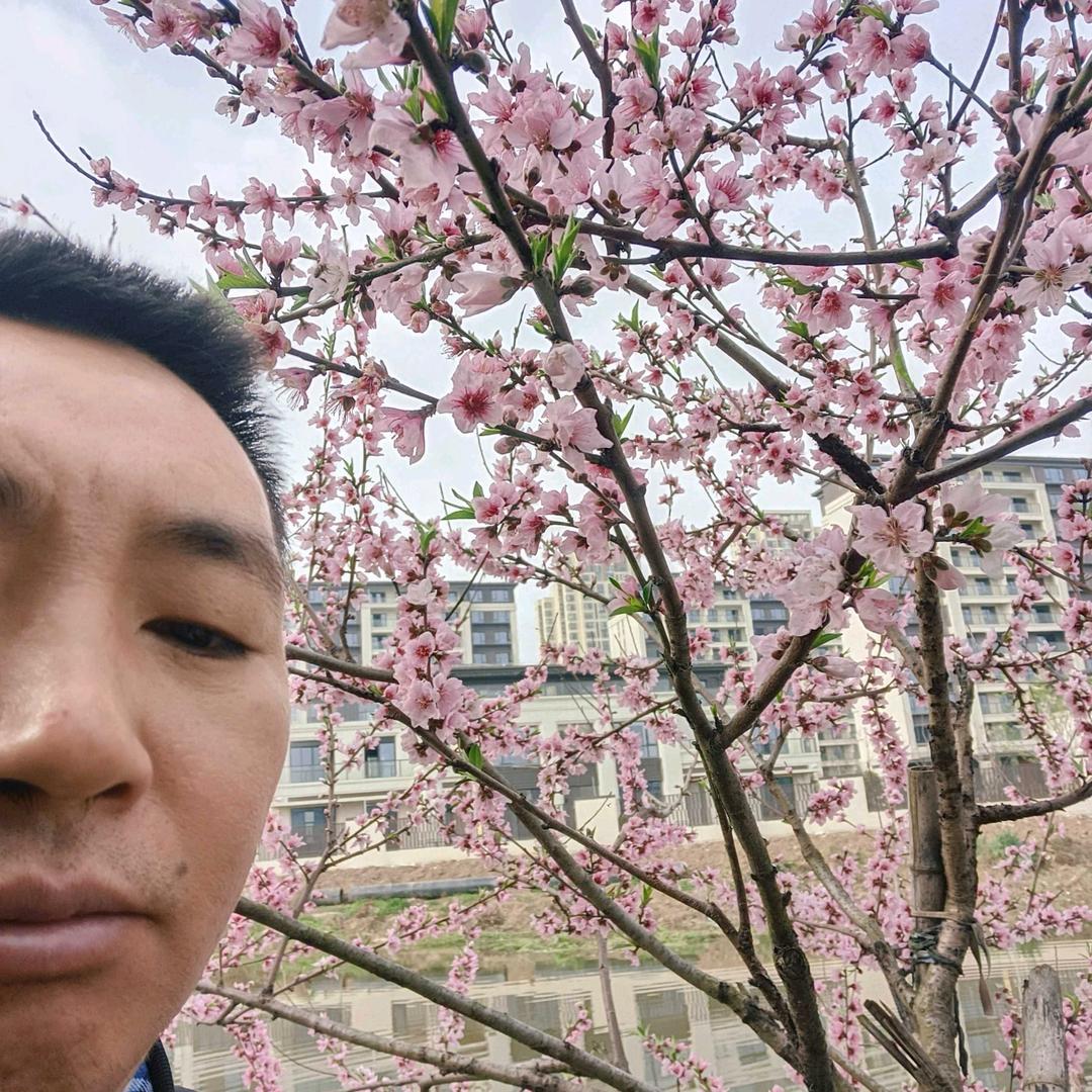 袁哥《早，晚9.20开播》