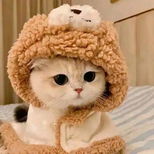 ～是我冒犯了～