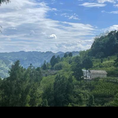 专业主体内装水电姿砖