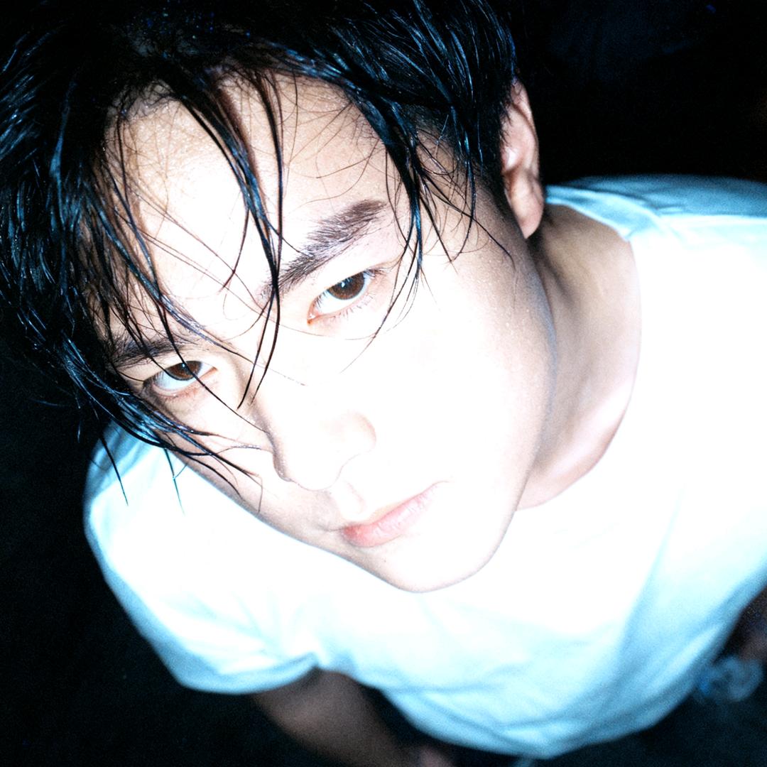 白羽鹤　  　           ╲