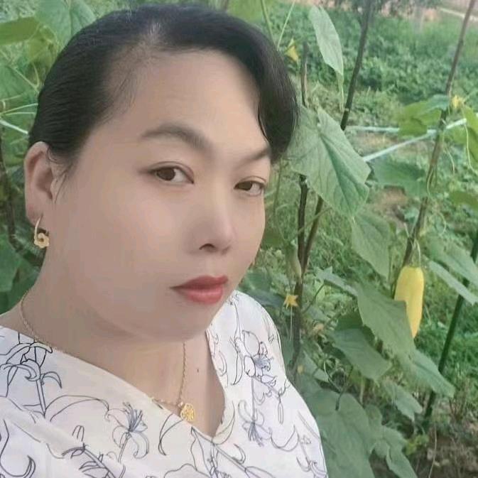 麻城白灵