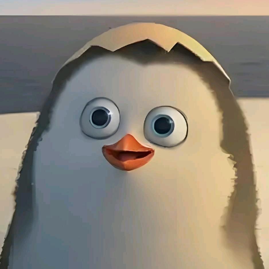 企鹅🐧