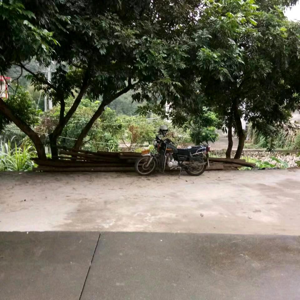 用户小陳