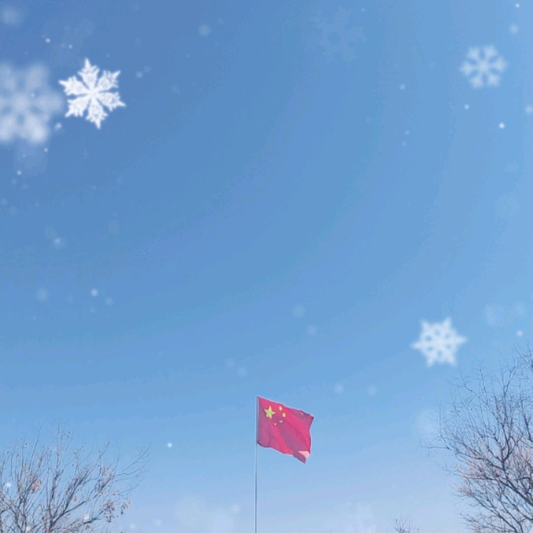 自由翱翔
