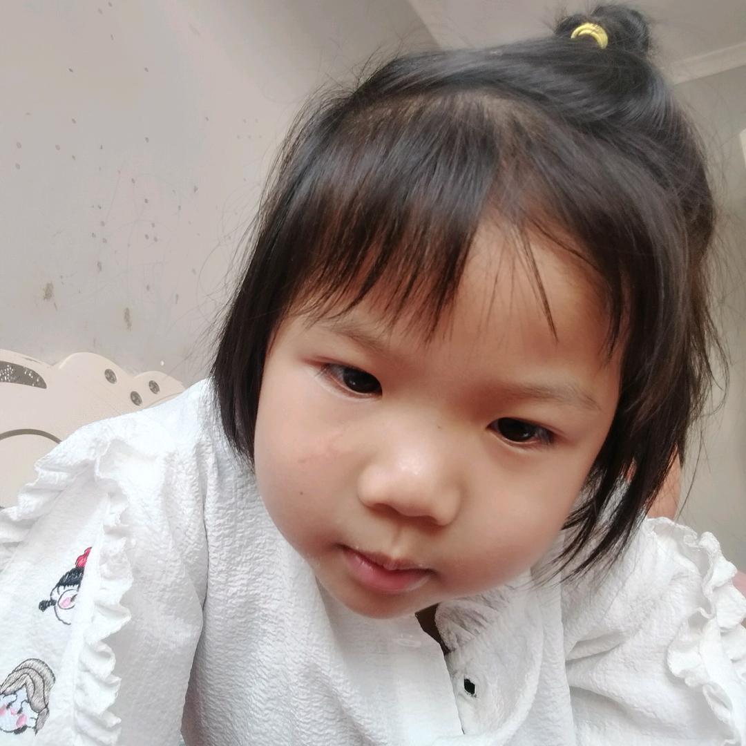 房怼怼