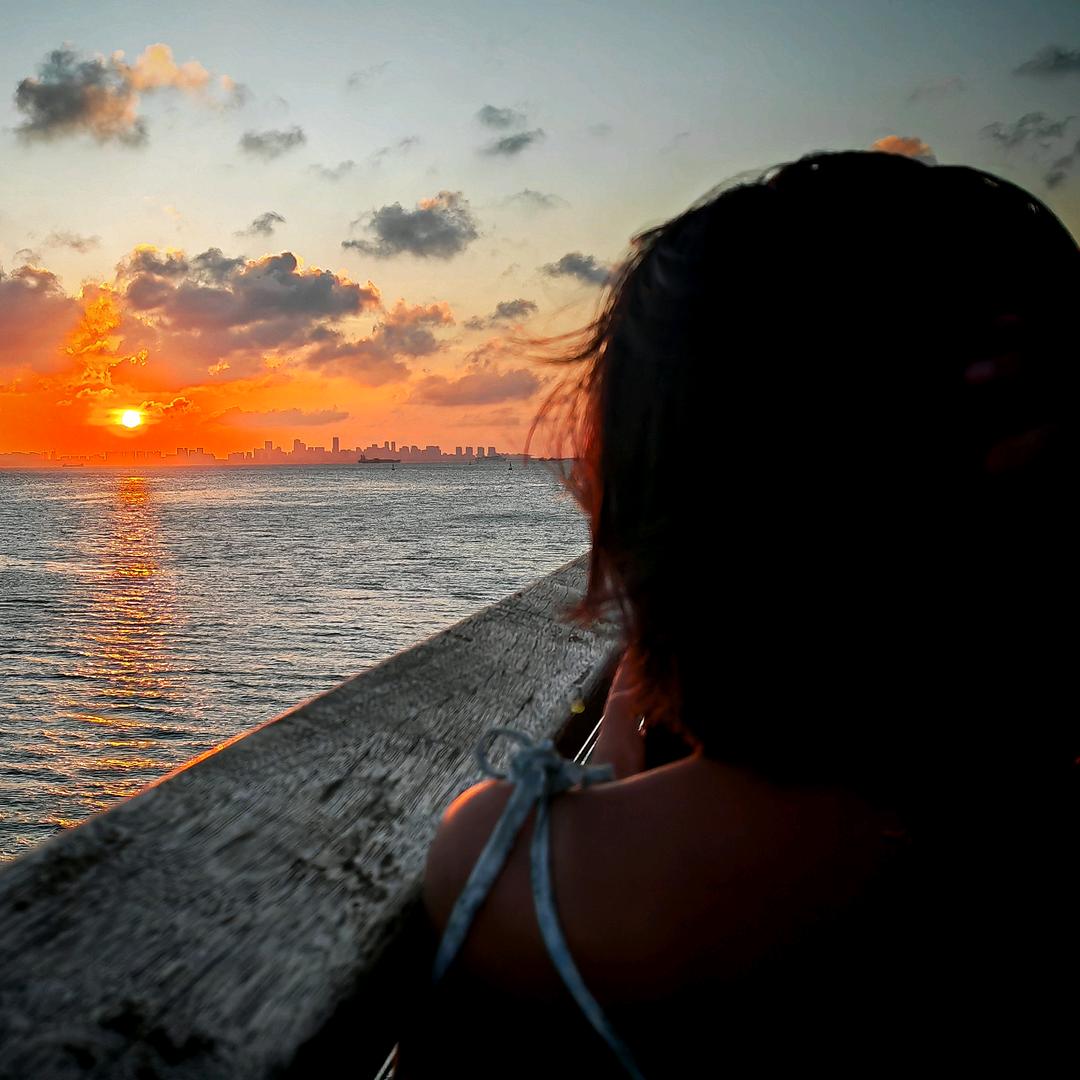 一只喜欢黄昏的🐈