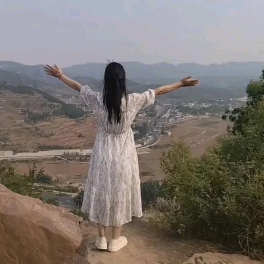🍀薰衣草