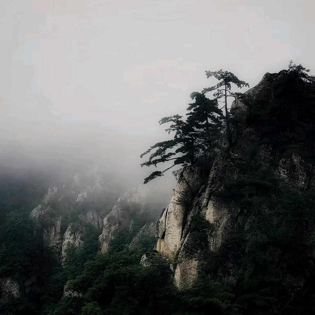 狼牙