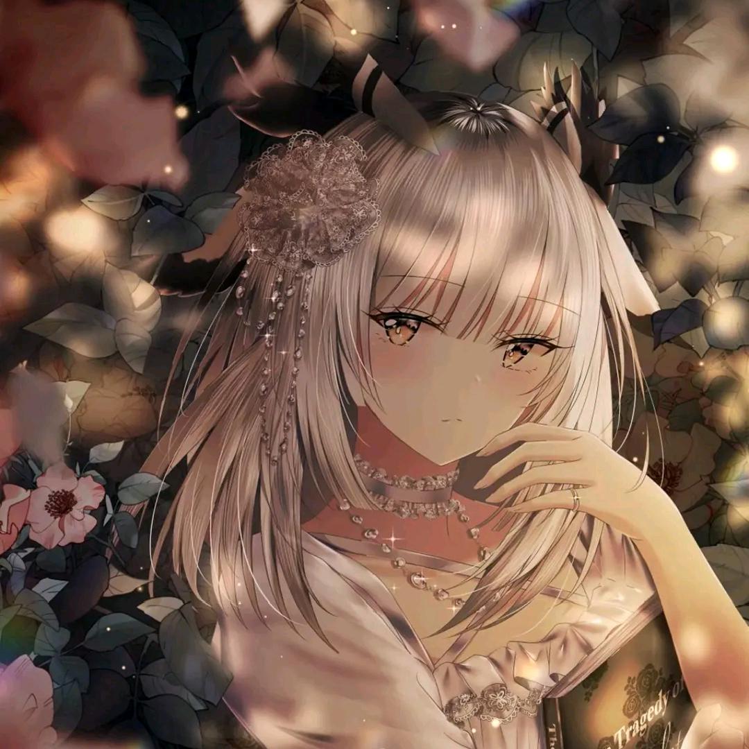 熬夜读本员