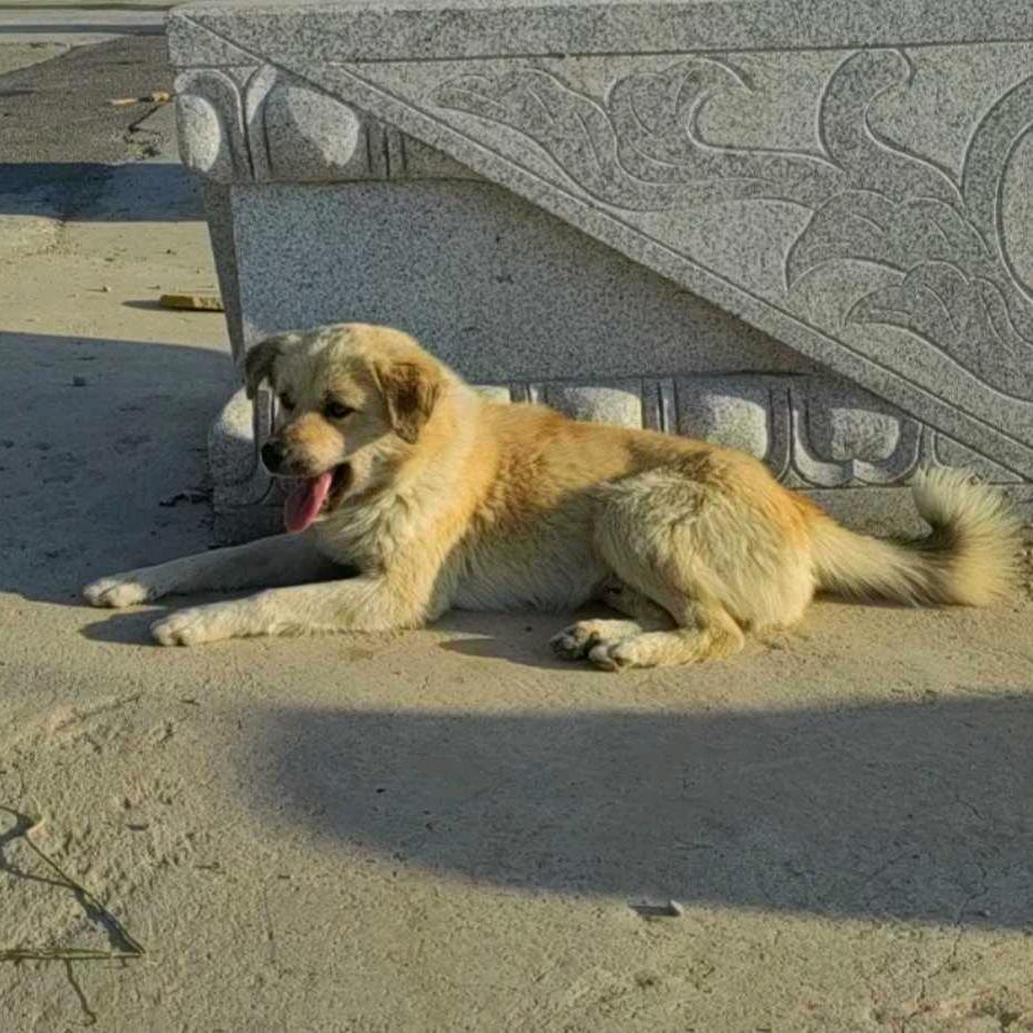 平安喜乐eternity