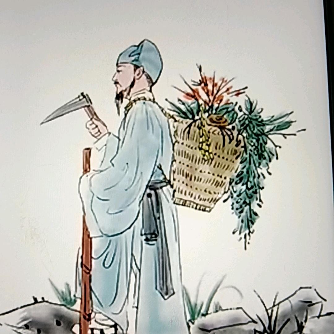 幽兰居中医疑难杂