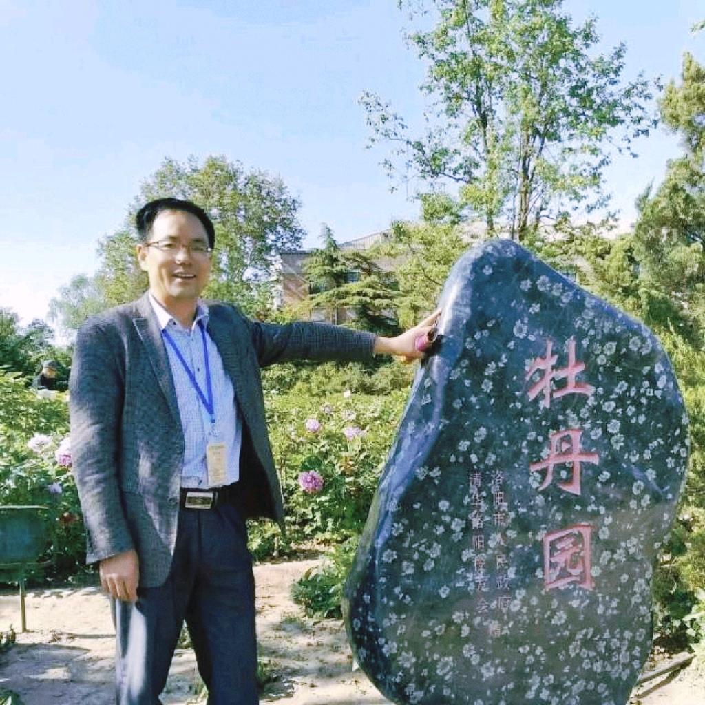 拔根骨头撑起伞