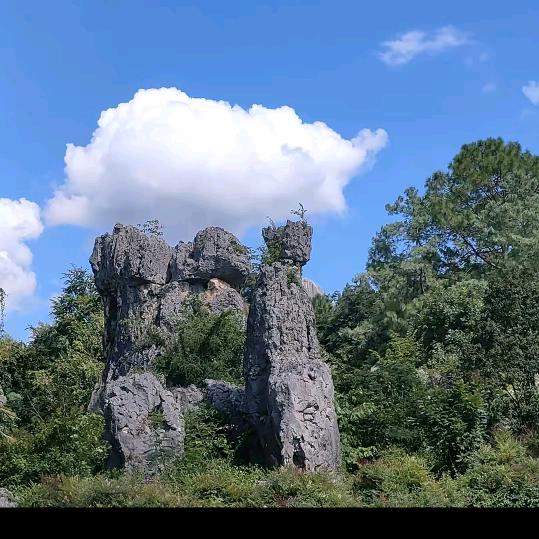 小康优选