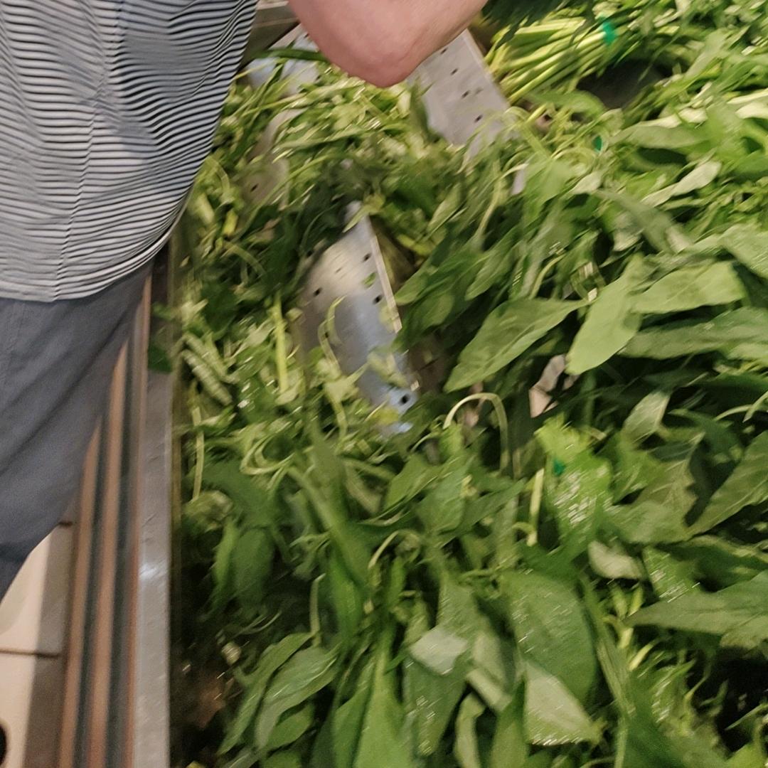 用户6131854108318