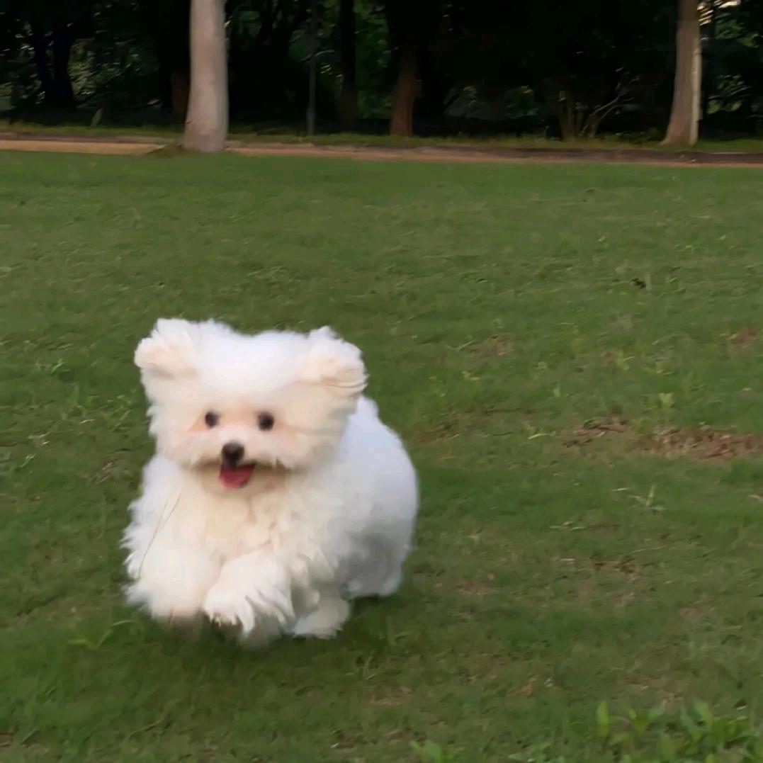 知还