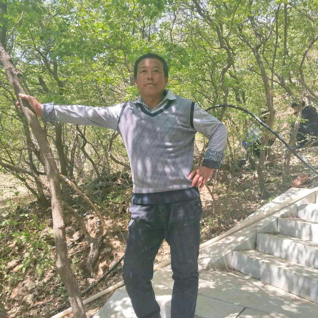 枫叶红了清霜