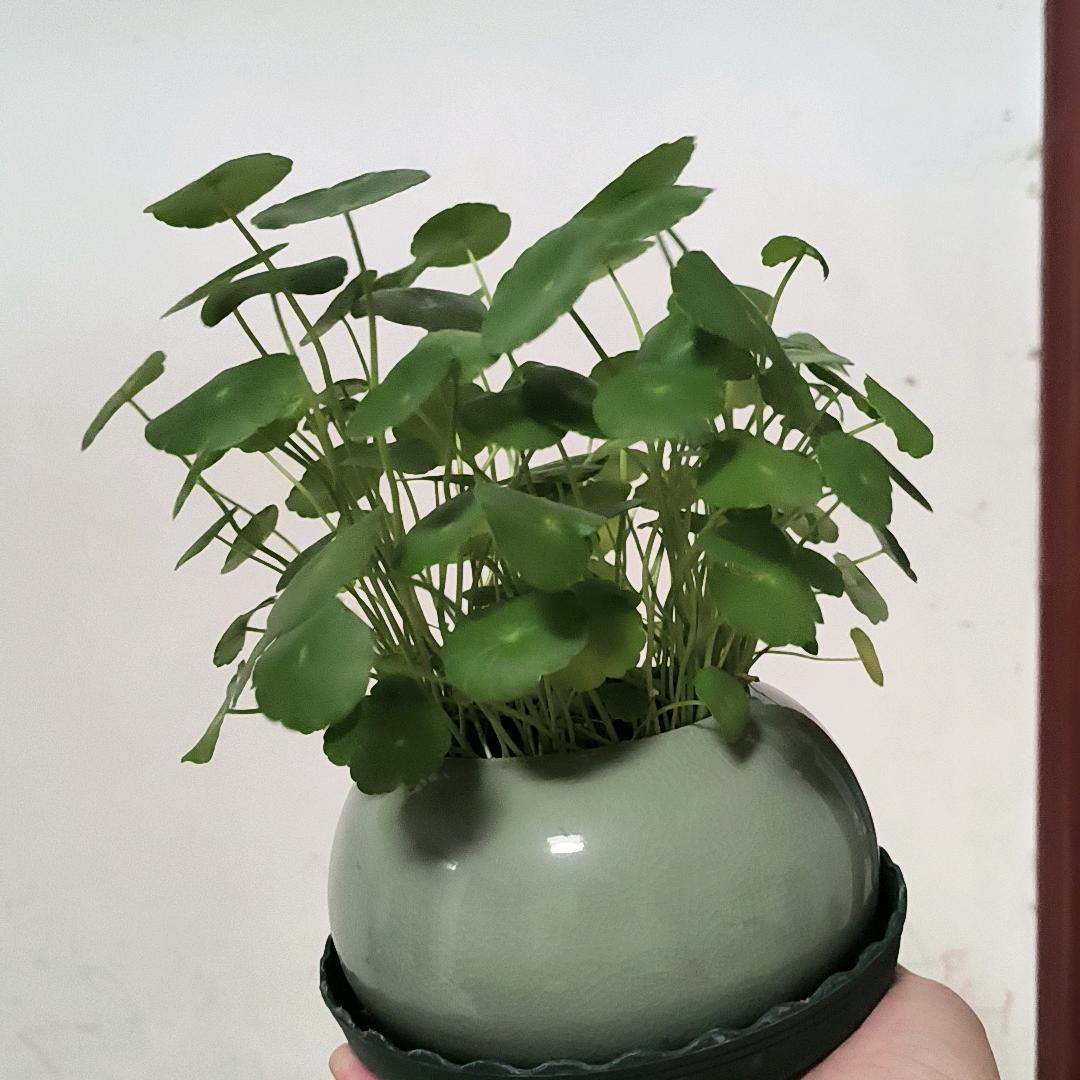 电