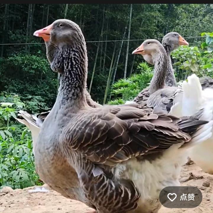 好每一天