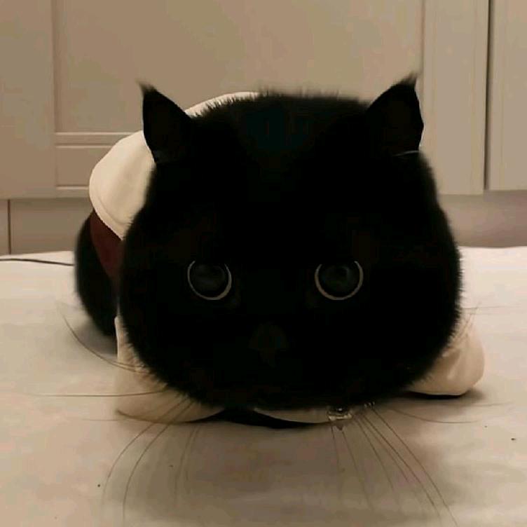 發䴭❤𧀑𢓧♊♋🍡