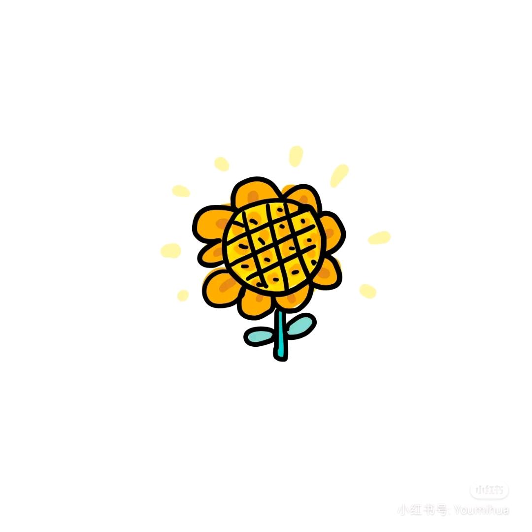 韬韬