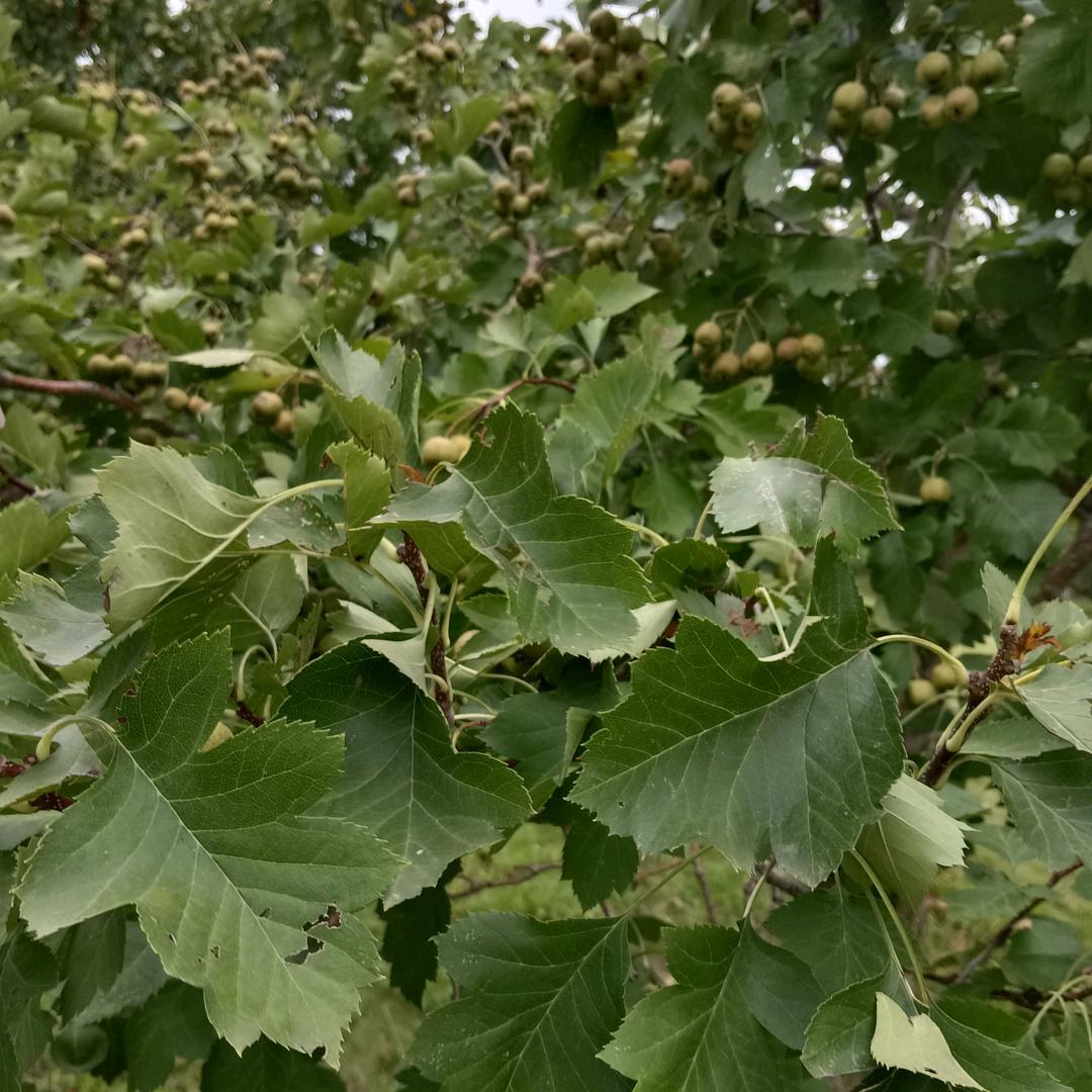 @@涅槃重生，建康最重要