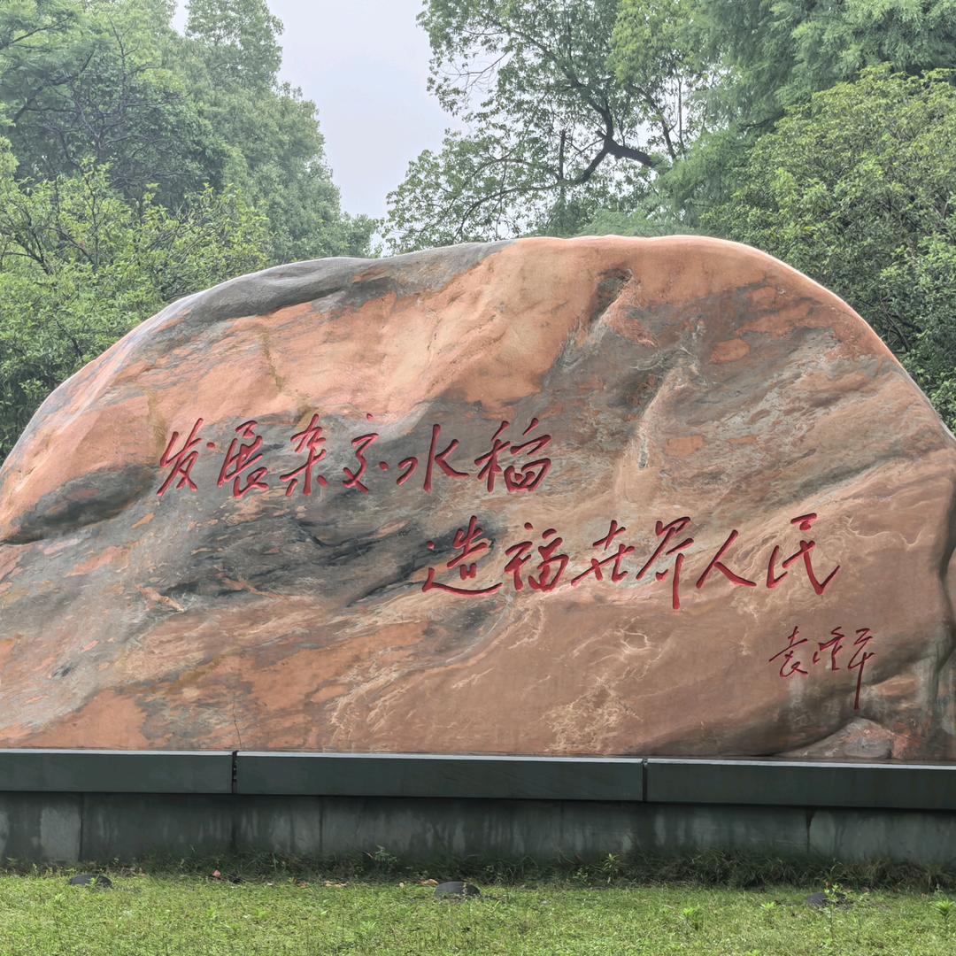 九金坡上一棵松（爱运动）