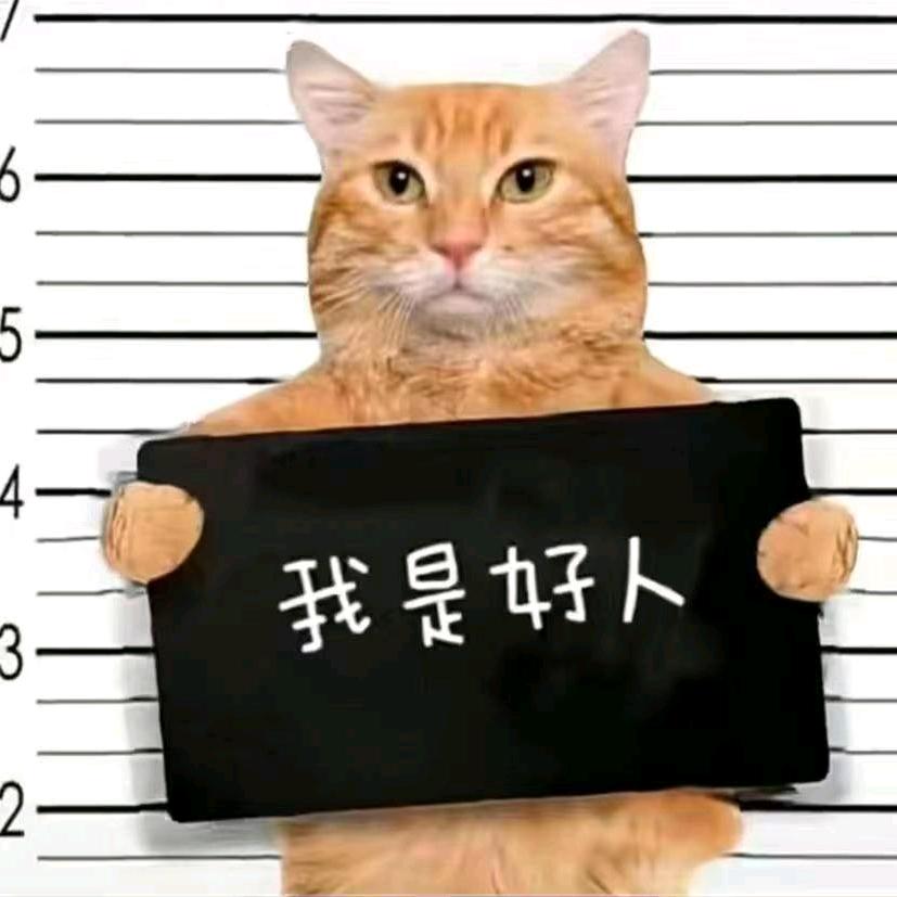 嘉平14