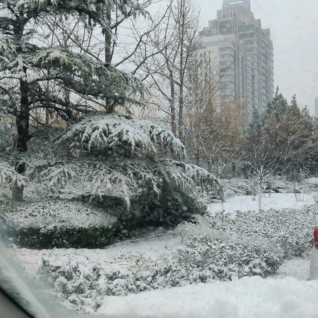 棉裤。