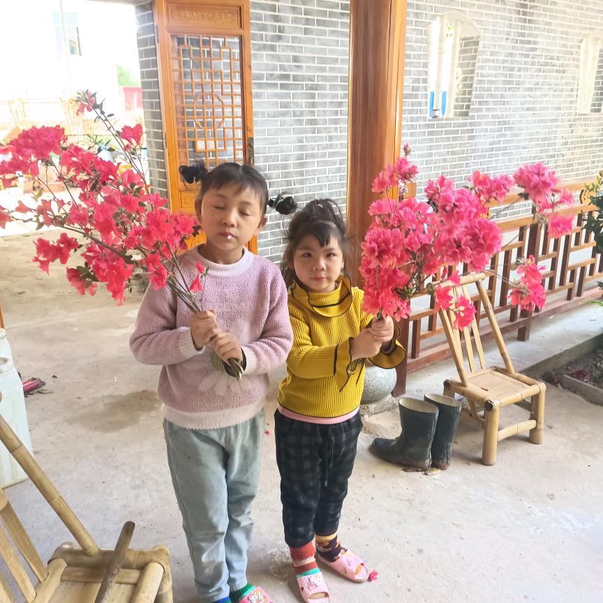 风雨不动安如山种植信丰脐橙