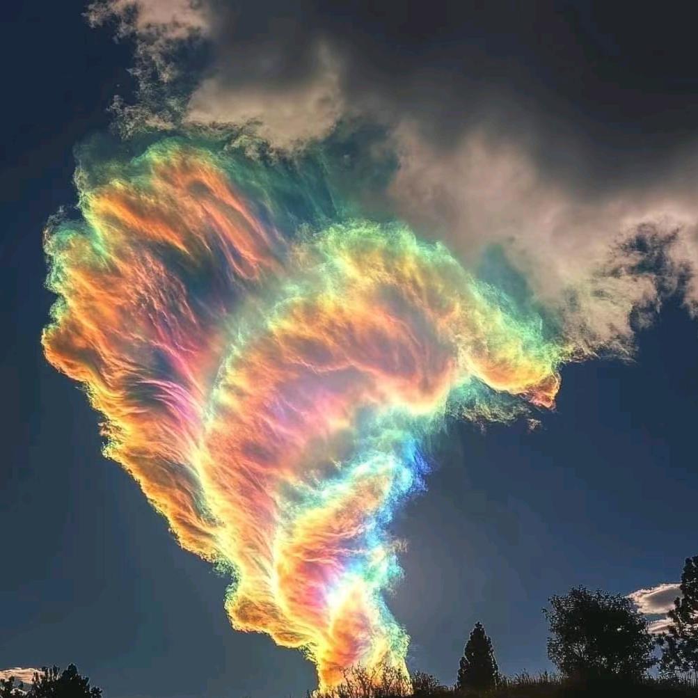 烈火燎原求风起