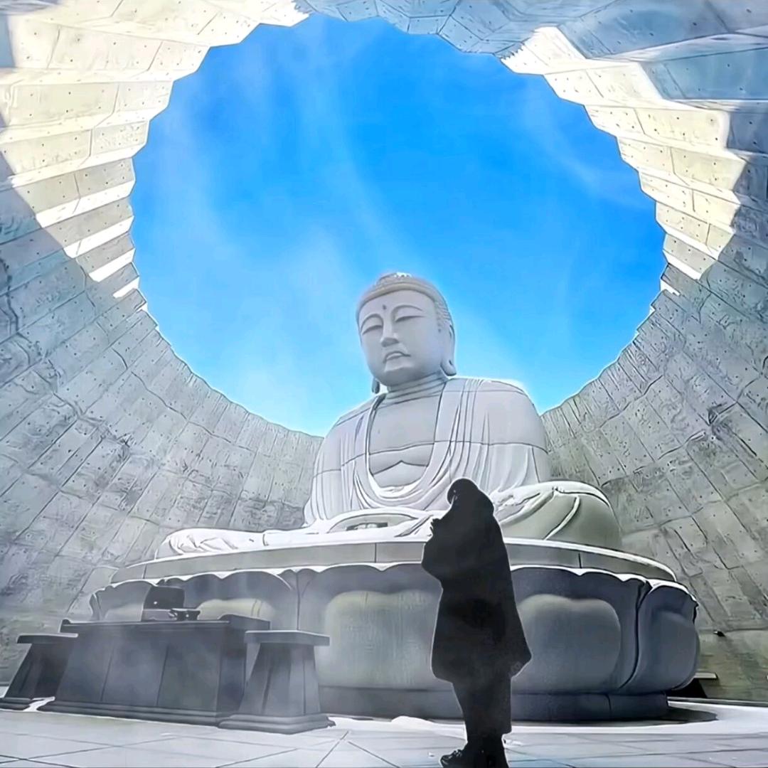 破浪·🌊