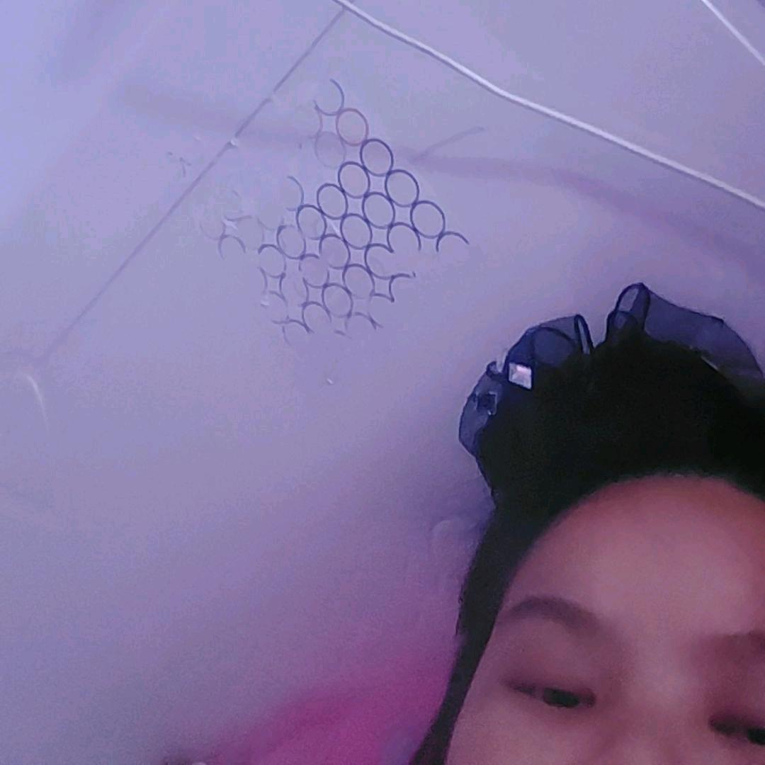 燕燕子8013铁粉